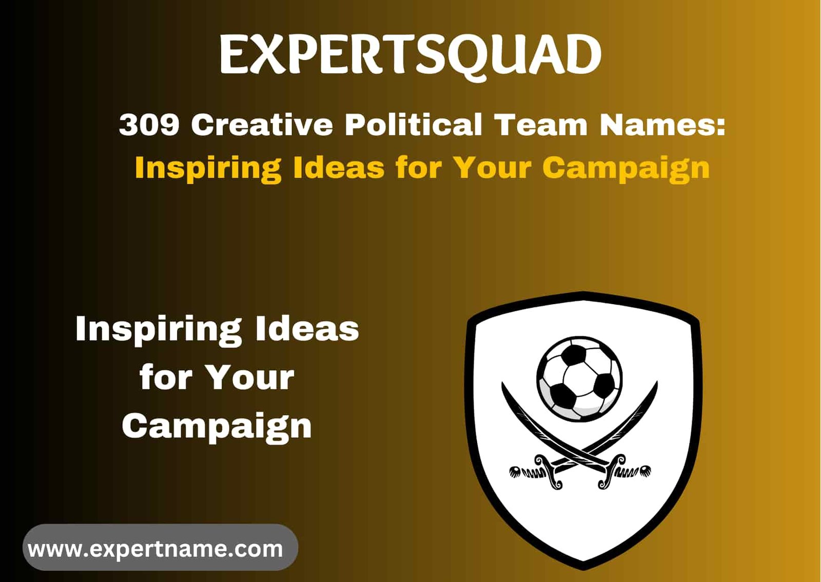 Political Team